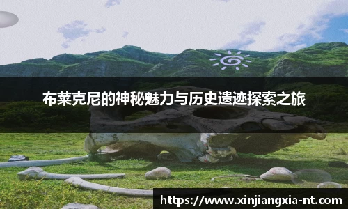 zoty中欧官方app下载